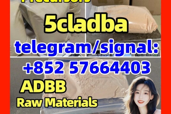 Ogłoszenie - 5CL-ADB China Supplier 5cl 5cladba 5cladba  Raw Materials precursor Cannabinoids 1119-51-3 68-12-2 dmf. Zdjęcie 1
