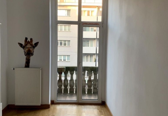 Ogłoszenie - 2pok, 54met, okolice Placu Dominikańskiego BALKON/PIWNICA (Wrocław). Zdjęcie 9