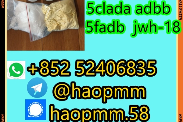 Ogłoszenie - 5cl - adb 5cladba 5cl 5cladba Adbb Precursors 5cl - adb free sample. Zdjęcie 1