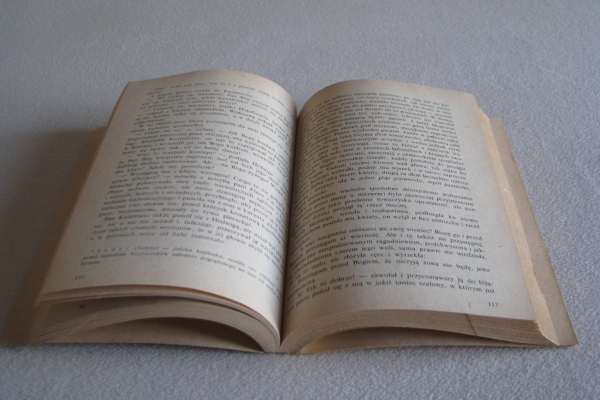 Ogłoszenie - Panienka z okienka, Deotyma (Jadwiga Łuszczewska). Zdjęcie 7