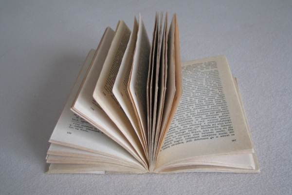 Ogłoszenie - Zapomniany język. Wstęp do rozumienia snów, baśni i mitów, Erich Fromm. Zdjęcie 7