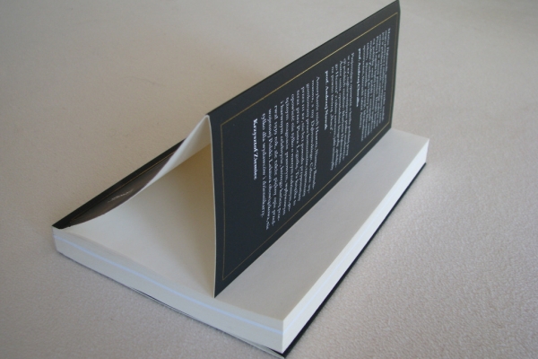 Ogłoszenie - Magnat z pałacu prasy Opowieść o Marianie Dąbrowskim, Piotr Legutko. Zdjęcie 6