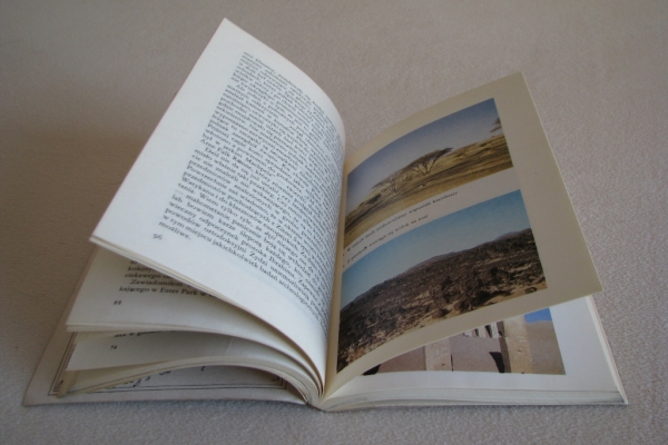 Ogłoszenie - Wszyscy jesteśmy dziećmi bogów, Erich von Daniken, Wydanie I. Zdjęcie 8