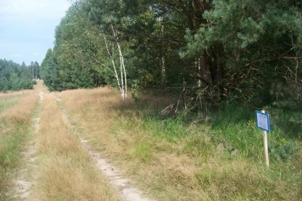 Ogłoszenie - Sprzedam działkę. Zdjęcie 1