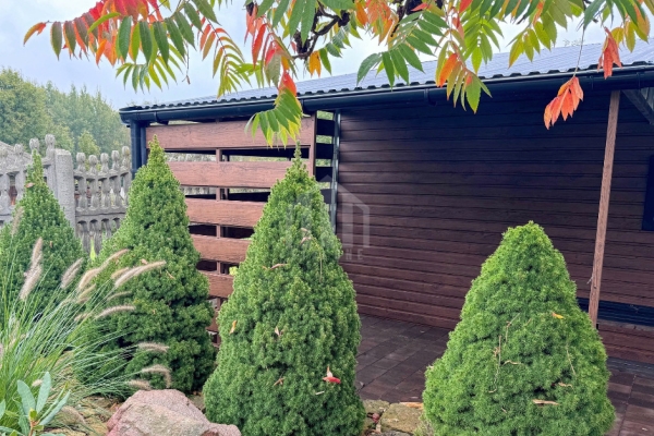 Ogłoszenie - Garaż blaszany 8x6 - 2x wiata - wnęka - brama uchylna - drzwi - 2x okno - drewnopodowny - dach dwuspadowy - rynny SO170. Zdjęcie 6