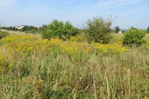 Ogłoszenie - Syndyk sprzeda nieruchomość.. Zdjęcie 2