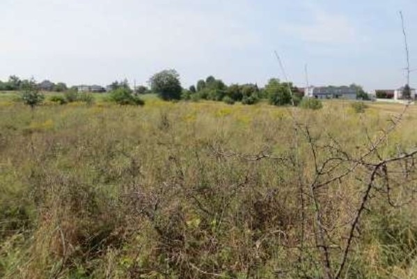 Ogłoszenie - Syndyk sprzeda nieruchomość.. Zdjęcie 3