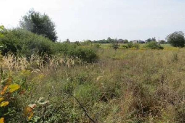 Ogłoszenie - Syndyk sprzeda nieruchomość.. Zdjęcie 4