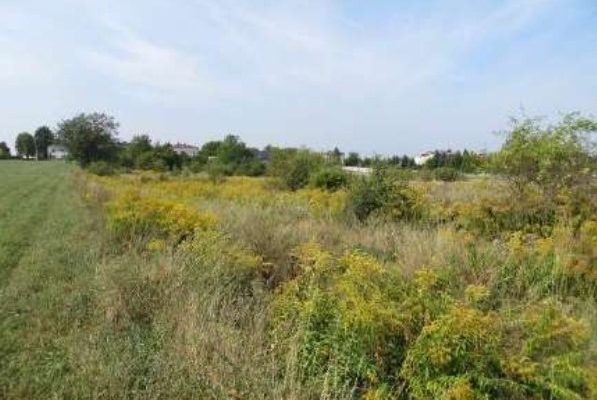 Ogłoszenie - Syndyk sprzeda nieruchomość.. Zdjęcie 5