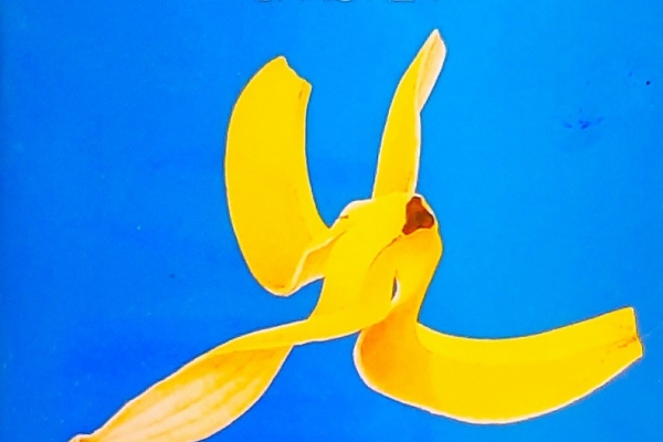 Ogłoszenie - Polecam Wspaniały Album CD CHRIS REA -Album The Road To Hell CD. Zdjęcie 8