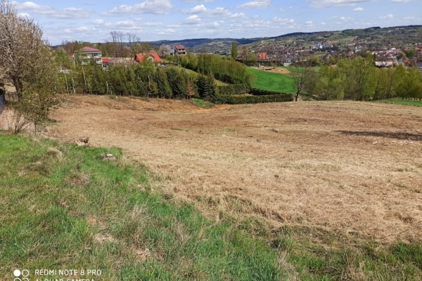 Ogłoszenie - Działka rolno-budowlana (5600m2) ul. Leśna MEDIA (Tuchów). Zdjęcie 1