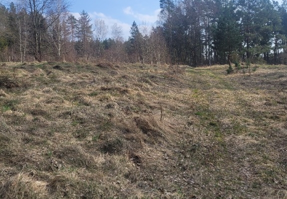 Ogłoszenie - Atrakcyjna duża Działka budowlana z małym własnym parkiem. Zdjęcie 4