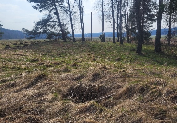 Ogłoszenie - Atrakcyjna duża Działka budowlana z małym własnym parkiem. Zdjęcie 3