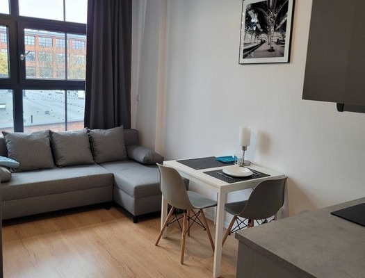 Ogłoszenie - 1pok, 19met, Okolice Okulickiego WINDA/2022 (Wrocław). Zdjęcie 2