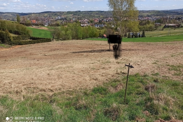 Ogłoszenie - Działka rolno-budowlana (5600m2) ul. Leśna MEDIA (Tuchów). Zdjęcie 2