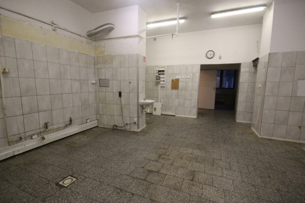 Ogłoszenie - Lokal (132 metry) okolice Prusa (Wrocław). Zdjęcie 9