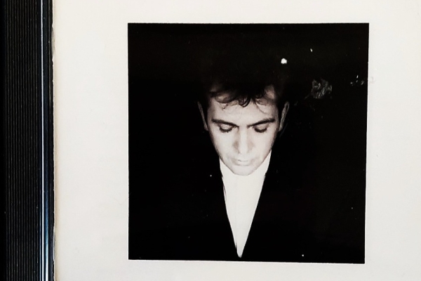 Ogłoszenie - Polecam Wspaniały Album CD PETER GABRIEL Ex GENESIS Album Shaking The Tree. Zdjęcie 1