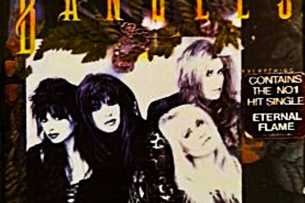 Ogłoszenie - Polecam Album CD Kultowego Zespołu BEE GEES - Album One Night Only. Zdjęcie 6