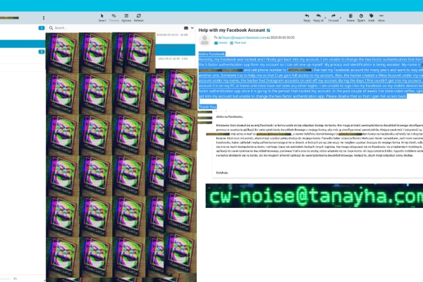 Ogłoszenie - Usługi - bazy danych, sociale, android, winda. Zdjęcie 5