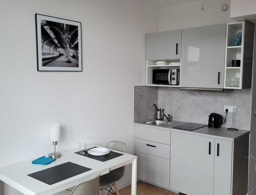 Ogłoszenie - 1pok, 19met, Okolice Okulickiego WINDA/2022 (Wrocław). Zdjęcie 4