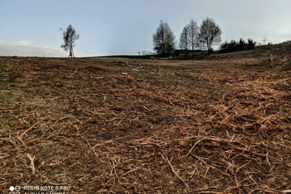 Ogłoszenie - Działka rolno-budowlana (5600m2) ul. Leśna MEDIA (Tuchów). Zdjęcie 5