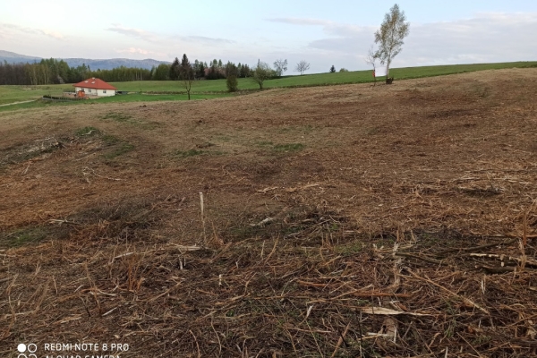 Ogłoszenie - Działka rolno-budowlana (5600m2) ul. Leśna MEDIA (Tuchów). Zdjęcie 6