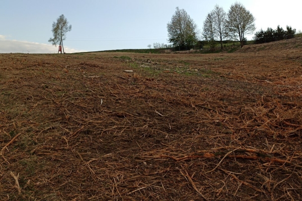 Ogłoszenie - Działka rolno-budowlana (5600m2) ul. Leśna MEDIA (Tuchów). Zdjęcie 7