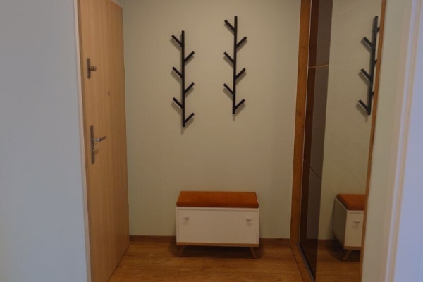 Ogłoszenie - 2pok, 49met, okolice Paryskiej BALKON/PARKING/2022 (Wrocław). Zdjęcie 7