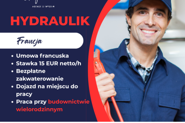 Ogłoszenie - HYDRAULIK - FRANCJA!. Zdjęcie 1