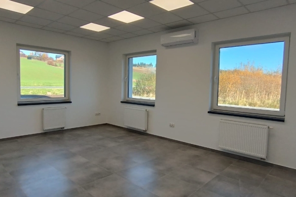 Ogłoszenie - Hala/magazyn/logistyka/wysokie składowanie/1-2tys m2-12m Brzezie DK94. Zdjęcie 9