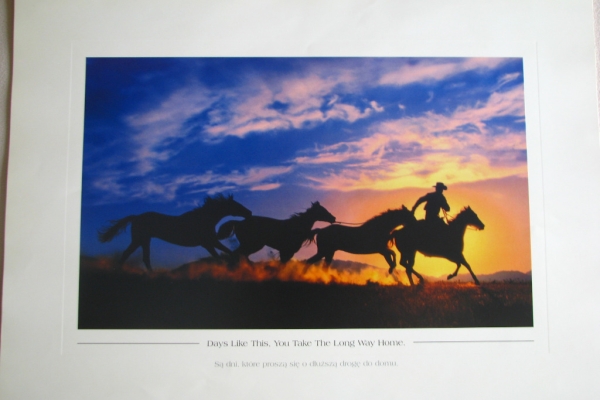 Ogłoszenie - Kalendarz Marlboro Country 2001 r.. Zdjęcie 3