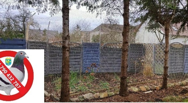 Ogłoszenie - WOLIERY SIATKI Województwo Opolskie. Zdjęcie 1