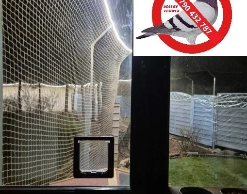 Ogłoszenie - WOLIERY SIATKI Województwo Opolskie. Zdjęcie 3