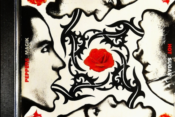 Ogłoszenie - CD Nowa- Polecam Album Cd COLDPLAY - Album Parachutes CD. Zdjęcie 3