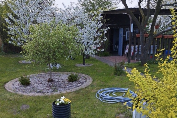 Ogłoszenie - Działka Rekreacyjna (300 m2) ul. Norwida ALTANKA (Kluczbork). Zdjęcie 1