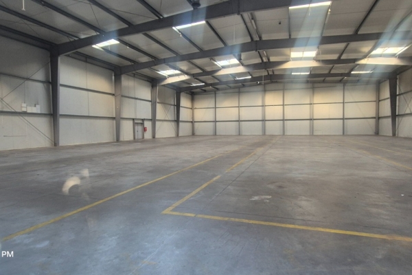 Ogłoszenie - Hala magazynowa z biurami bezpośrednio. Zdjęcie 9