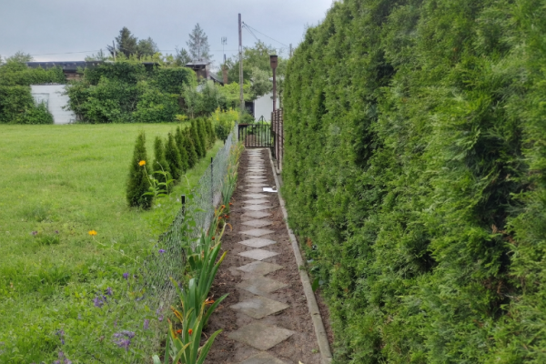 Ogłoszenie - Działka ROD z domkiem 2026 – Aleksandrów Kujawski. Zdjęcie 1