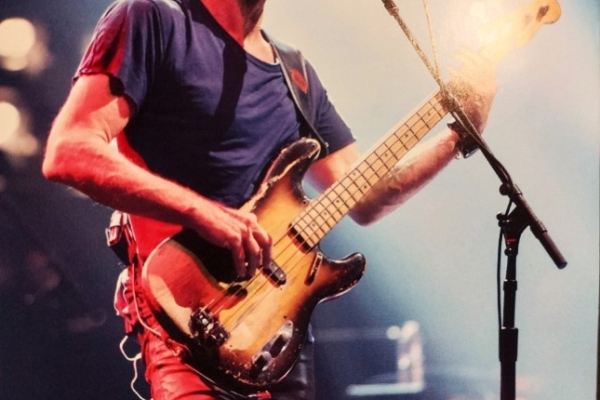 Ogłoszenie - CD Nowy- Polecam Kultowy Album CD STING- Nothing Like The Sun. Zdjęcie 2