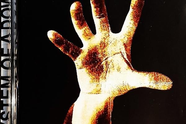 Ogłoszenie - Polecam Super Abum Zespołu KORN Take a Look In The Mirror CD +DVD. Zdjęcie 5