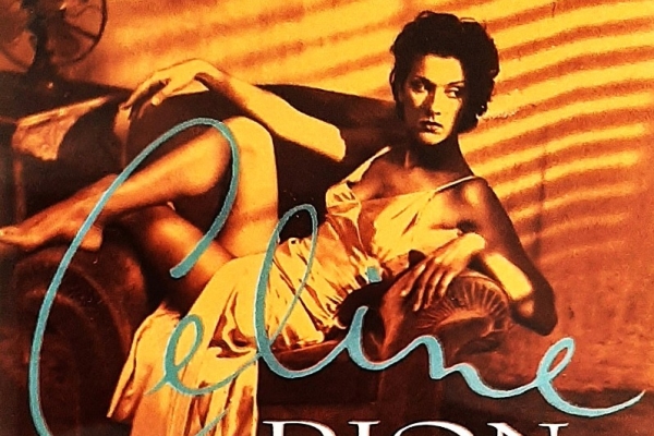 Ogłoszenie - Polecam Album CD Tina Turner -What s Love Got To Do With It CD. Zdjęcie 9