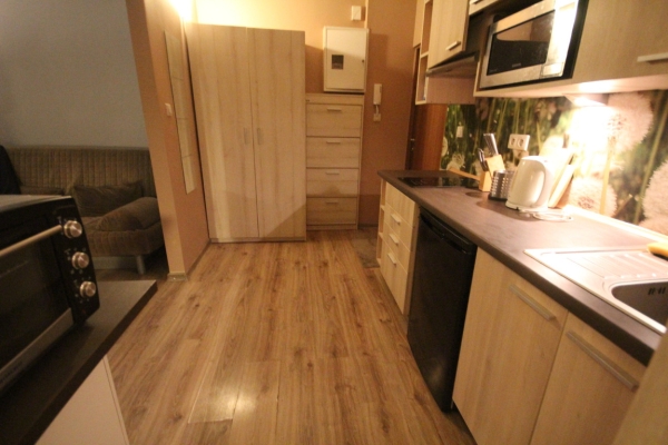 Ogłoszenie - 1pok, 30met, okolice Placu Grunwaldzkiego PO REMONCIE (Wrocław). Zdjęcie 3