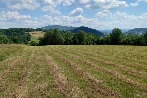 Ogłoszenie - Działka BUDOWLANA, Bieszczady, Bóbrka, k. SOLINA. Zdjęcie 3