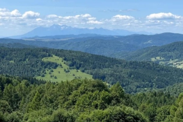 Ogłoszenie - Willa Krupówka – noclegi w górach | Wierchomla Mała | Beskid Sądecki. Zdjęcie 8