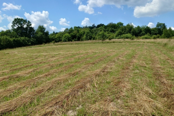 Ogłoszenie - Działka BUDOWLANA, Bieszczady, Bóbrka, k. SOLINA. Zdjęcie 6