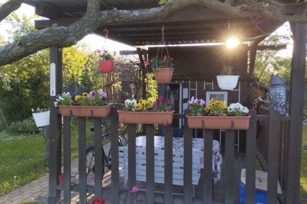 Ogłoszenie - Działka Rekreacyjna (300 m2) ul. Norwida ALTANKA (Kluczbork). Zdjęcie 6