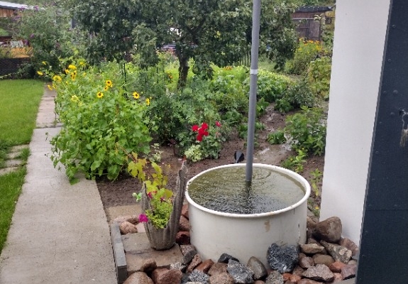 Ogłoszenie - Działka ROD z domkiem 2026 – Aleksandrów Kujawski. Zdjęcie 7