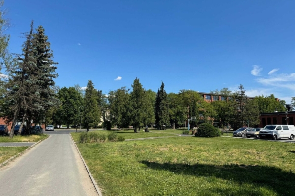 Ogłoszenie - 1pok, 26met, Okolice Bierutowskiej WINDA/2021 (Wrocław). Zdjęcie 8