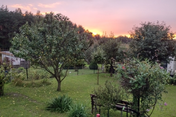 Ogłoszenie - Działka ROD z domkiem 2026 – Aleksandrów Kujawski. Zdjęcie 9