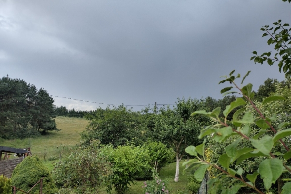 Ogłoszenie - Działka ROD z domkiem – Aleksandrów Kujawski. Zdjęcie 8