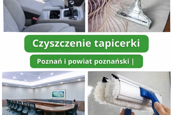 Ogłoszenie - STĘSZEW > Pranie tapicerki samochodowej dla FIRM. Zdjęcie 2